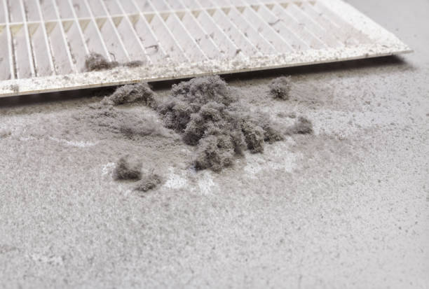 Best Home Air Vent Cleaning  in Forsyth, GA