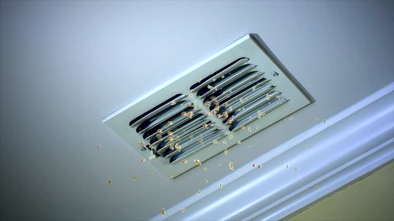 Best Commercial Air Duct Cleaning  in Forsyth, GA