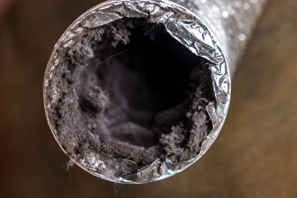 Best Ductwork Cleaning Services  in Forsyth, GA